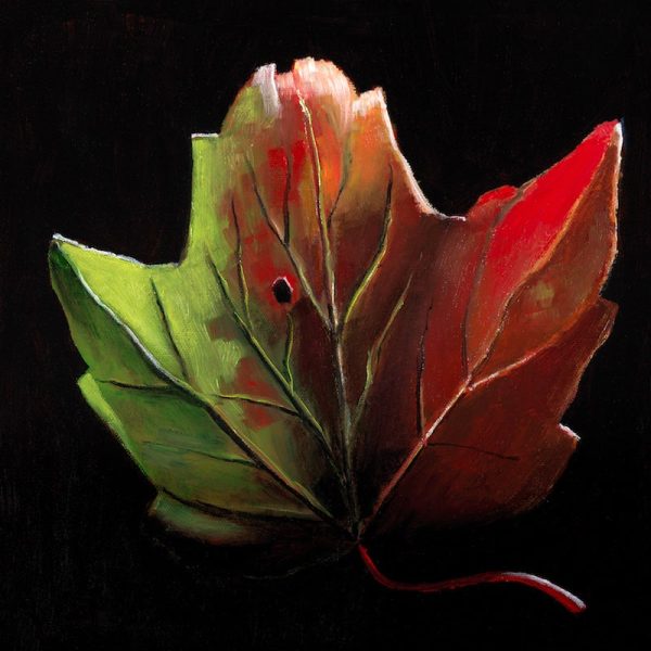 Red And Green Maple Leaf